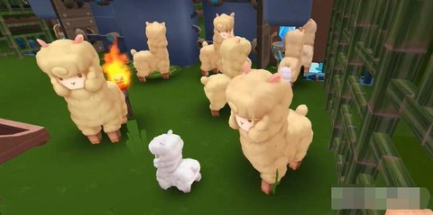 迷你世界的羊吃什么[图1]