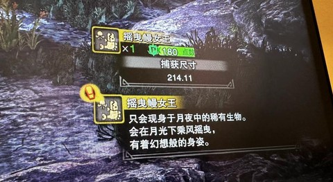 怪物猎人4怎么捕获[图1]