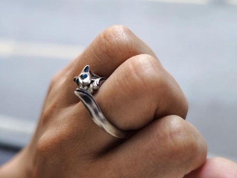 黑魂3银猫戒指怎么拿[图2]