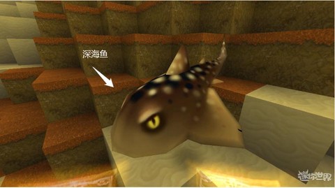 迷你世界的鱼怎么养[图1]