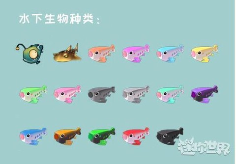 迷你世界的鱼怎么养[图2]