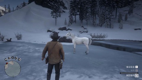 荒野大镖客可以驯什么[图1]