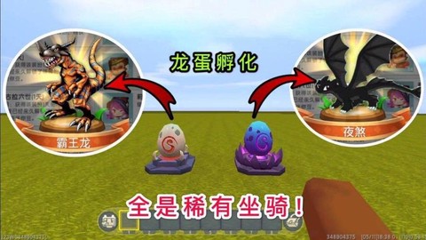 迷你世界龙蛋怎么孵[图2]