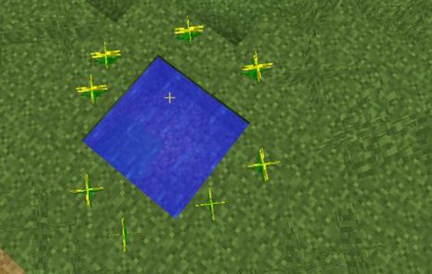 我的世界暮色森林传送门怎么做[图2]