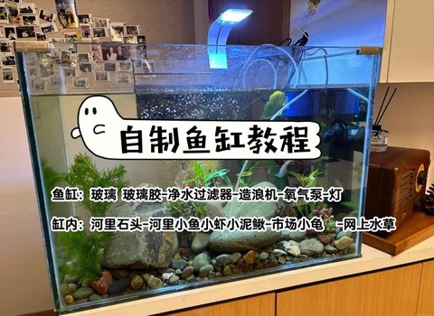 迷你世界鱼缸怎么做[图1]