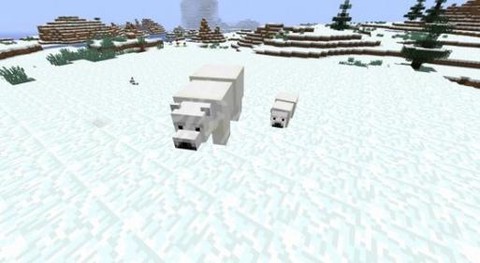 我的世界北极熊怎么驯服[图1]