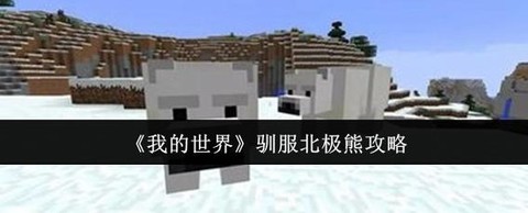 我的世界北极熊怎么驯服[图2]