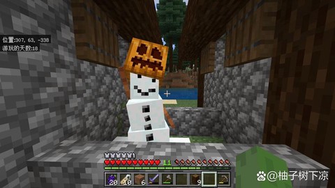 我的世界雪傀儡怎么养[图1]