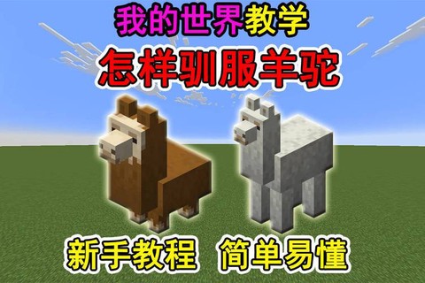 我的世界羊驼有什么用[图2]