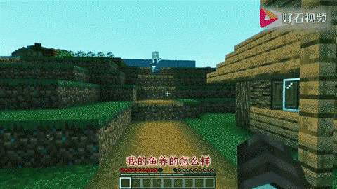 我的世界怎么养鱼视频[图2]